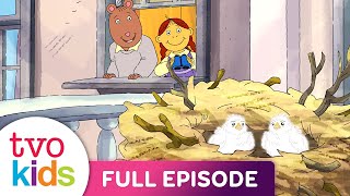 ARTHUR - Muffy's House Guests / Binky Can't Always Get What He Wants - Full Episode