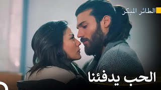 رحلة سينام للعثور على الحب #89 - سلسل الطائر المبكر