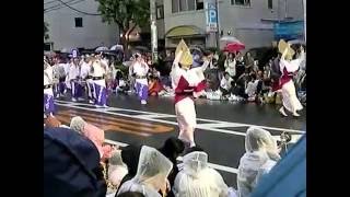 第６０回　東京高円寺阿波踊り　むさし南連