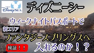 【必見】ディズニーシー　Disney Seaウィークナイトパスポート17時からで新エリアファンタジースプリングスへ入れるのか検証！！