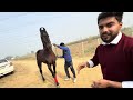 ⁠@abhinavhoon Ke Commando Horse Ne Ride se Gira Diya😱