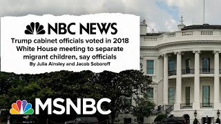 New Report: Trump’s Cabinet Held A Hand Vote Over Family Separation Policy In 2018 | MSNBC