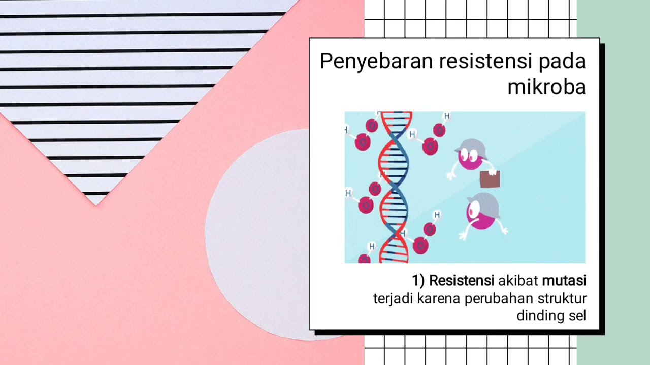 Mekanisme Resistensi Antibiotik Dan Penggunaan Antibiotik Yang Tepat ...