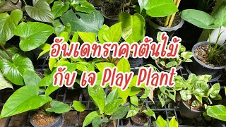 อัปเดท ราคาต้นไม้ร้าน เจ Play Plant ไม้ด่าง ไม้ประดับ ราคาดี