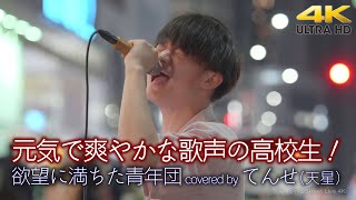 【 歌うま 】元気で爽やかな歌声！まさかの高校生でした！　欲望に満ちた青年団 / ONE OK ROCK（ covered by てんせ ）4K映像