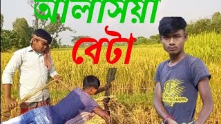 আলসিয়া বেটা  রাজবংসি কমেডি ভিডিও