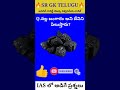 నల్ల బంగారం అని దేనిని పిలుస్తారు shorts youtubeshorts trending viral srgktelugu gk short