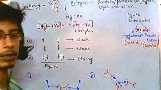 Antigens and antibodies