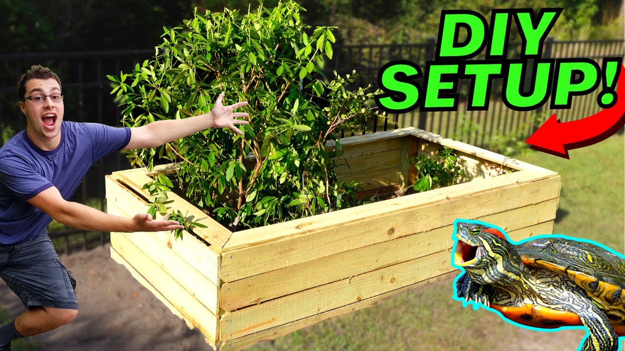 Homemade Turtle Enclosure