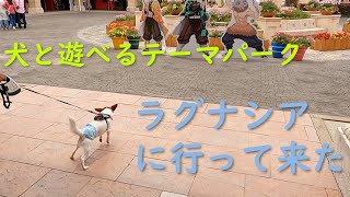 【うまいうまい】犬を連れてテーマパークで鬼滅の刃コラボの弁当を食べてきた　犬散歩