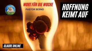 Wort für die Woche - Hoffnung keimt auf - ( August 4 ) - Pastor Bernd