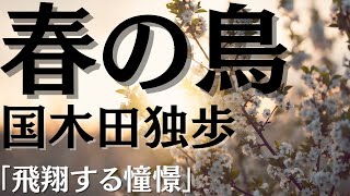 【朗読】『春の鳥』国木田独歩の名作短編小説：作業用ＢＧＭ：青空文庫