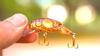 Image result for rebel critter crawfish teeny weeny