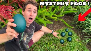 I FOUND a NEST OF MYSTERY EGGS !