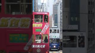 Trams and Double-Decker Buses in Hong Kong #hongkong