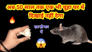 बिना दवाई  चूहे भगाने का घरेलू तरीका😱rid of mouse/chuhe bhagane ka tarika/kitchenTips