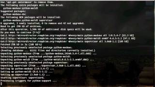 Installing Django on a Raspberry Pi