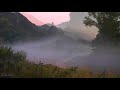 8hrs gentle river and cicadas sounds and birds songs 4k morning fog on the river russia