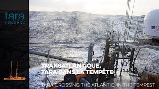 [Tara Pacific] Transatlantique : Tara dans la tempête // Atlantic crossing : Tara in the tempest