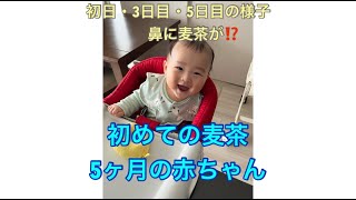 【初めての麦茶】5か月の赤ちゃん