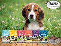 Fidele+ | Premium dog food | Inspired by Indian | Made in Belgium | Dog Food | Puppy Food | Starter