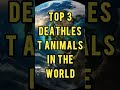 Top 3 Deathlest😱Animals in World #shorts #youtubeshorts #viral