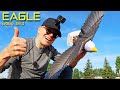 Crash Testing The GoGo Bird EAGLE (not on purpose) - Review