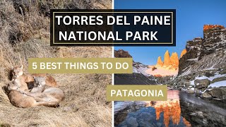 5 Best Things To Do in Torres del Paine in Patagonia, Chile