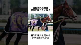 【お馬の雑学】マヤノトップガン