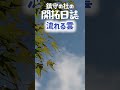 流れる雲！鎮守の杜の開拓日誌_short_105 秋 山さんぽ 山歩き