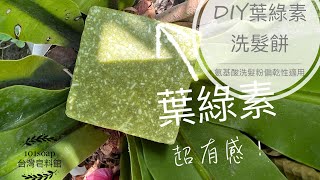 綠野掀鬃 ｜DIY葉綠素洗髮餅｜ DIY Chlorophyll Shampoo Bars｜護髮維他命B5｜荷荷芭植物蠟｜大麥若葉｜髮絲柔順｜@101soap6