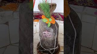 प्राचीन स्वयंभू शिवलिंग श्री मुझेश्वर महादेव जी #mahadev #kedar #shiv #केदारनाथ