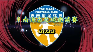 杏林vs西青(2022.6.15.東南海盃足球邀請賽65歳組)精華