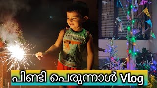 പിണ്ടി പെരുന്നാൾ Vlog