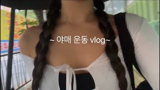 vlog 제가 운동을 어떻게 하냐면요