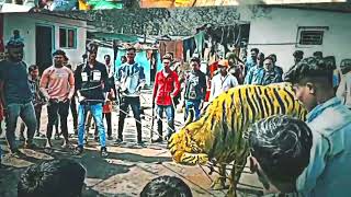 🔥Tadvi tiger bolte sirpur se..🔥 😈mat pado chakkar me koi nhi hai takkr me .#takkarsuit #sirpur