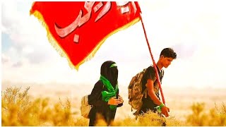 Arbaeen Walk 2022 status | Mai Paidal Chala Karbala status | By Naqvia Network