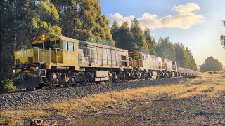 Tasrail 2010 2001 2009 #78 train Station Road