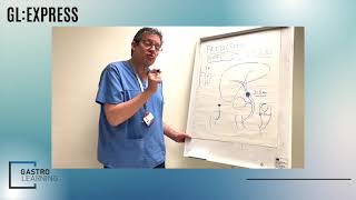 Difficult bile duct stones - GastroLearning Express with George Webster