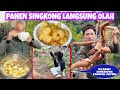 PAPA MERTUA CHINA PERTAMA KALI MAKAN SINGKONG, SINGKONG GORENG MEKAR DAN SINGKONG KUAH MANIS