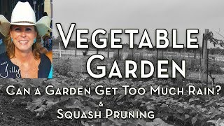 Can a Garden Get Too Much Rain? – Squash Pruning After Heavy Rain on Vegetable Garden