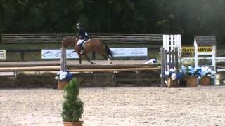 Knightwood Horses - Date Knight (aka Cowboy) - Angelstone 3' Canadian Hunter Derby