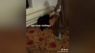 Цыганские приколы🤣2023,#цыганскийтанец #цыганскаясвадьба