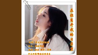 在你离开我的日子里 (甩滑舞曲版)