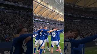 Die beiden Tore gegen den KSC! 👏⚽️ #s04 #schalke #fussball #goals #football #soccer #einlebenlang