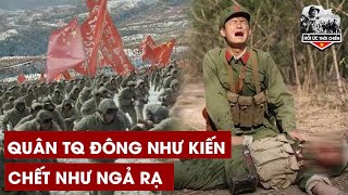 Cối Xay Thịt Vị Xuyên,Lính Trung Quốc Đông Như Kiến NGÃ GỤC Trước Họng Pháo Binh Việt Nam - HUTC