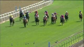 20201206 Hollywoodbets Greyville express clip Race 4 won by CHRISTMAS BAY