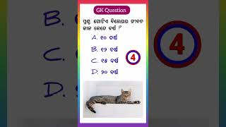 ଗୋଟିଏ ବିଲେଇର ଜୀବନ କାଳ କେତେ ବର୍ଷ ହୋଇଥାଏ ll Odia Gk Question ll#Shortsll#Viralvideo