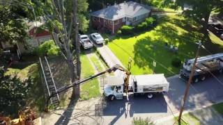 Altec Remote Controlled Tree Removal Grapple saw Demo