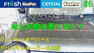 【検証】エコフレッシュキーパーとクリスタルキーパーの違い、7ヶ月経過【#6】